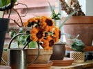 Fotosample kleurweergave en contrast 02 compactcamera vs. smartphones
