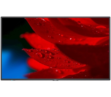 NEC MA491