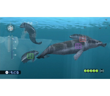 Endless Ocean 2: Een zee vol avontuur