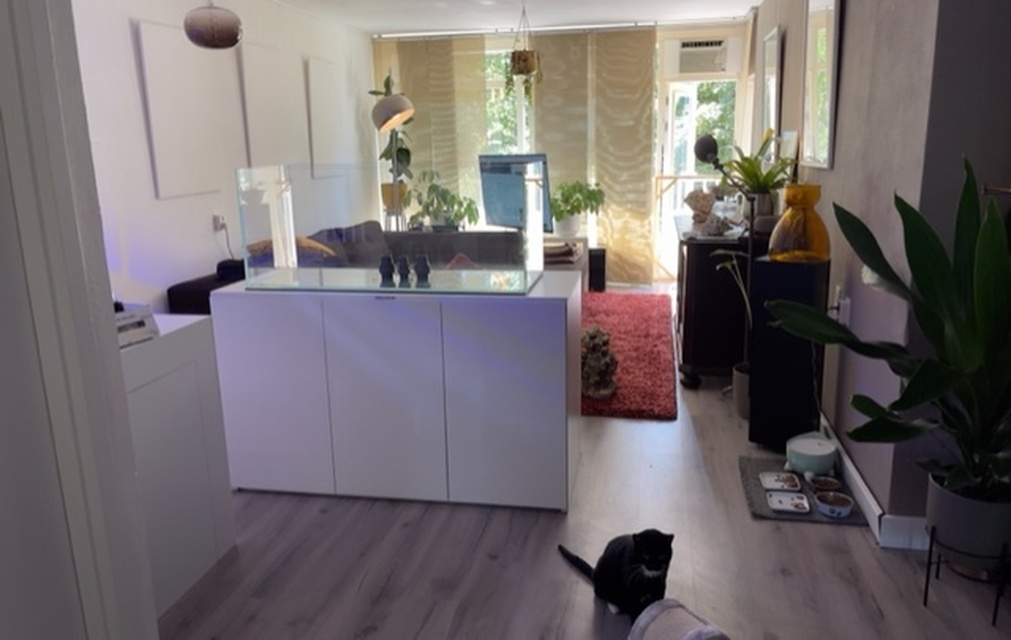 Afbeeldingslocatie: https://tweakers.net/i/AUtiG6PyMyJIPyuTd701BKJJCxw=/full-fit-in/4920x3264/filters:max_bytes(3145728):no_upscale():strip_icc():fill(white):strip_exif()/f/image/xmcDU8Jdx8DV1aMt9hVCKwwT.jpg?f=user_large