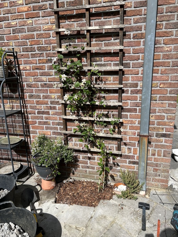 Afbeeldingslocatie: https://tweakers.net/i/AWmQXxRLq3ZWJ4QKe9cRN6wUXLQ=/x800/filters:strip_icc():strip_exif()/f/image/xspd2bNACkQBhuPkr7UyGvCV.jpg?f=fotoalbum_large