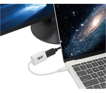 Tripp-Lite U444-06N-DP4K6W