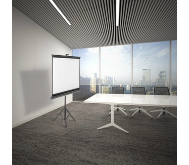 SpeaKa Professional SP-PST-310