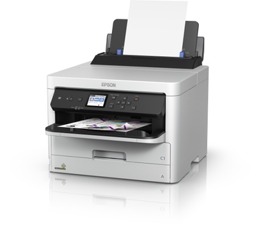 Epson T01D100