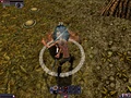 Review The Chronicles of Spellborn