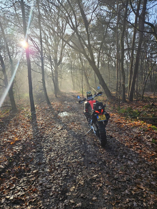 Afbeeldingslocatie: https://tweakers.net/i/AeRNxt2uCtVBZRG58y31I4oSYlc=/x800/filters:strip_icc():strip_exif()/f/image/Sj9Cg9eNw35NCwzXkPP8cXXx.jpg?f=fotoalbum_large