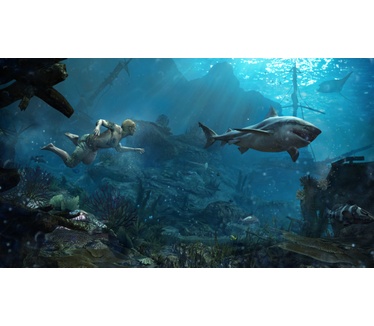 Assassin's Creed IV: Black Flag, PlayStation 3