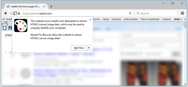 Canvas fingerprinting popup