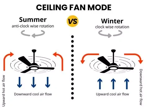 Afbeeldingslocatie: https://tweakers.net/i/AgPapWkAgtqQYJHvl__UQdq1P48=/fit-in/4920x3264/filters:max_bytes(3145728):no_upscale():strip_exif()/f/image/DoZ3VChz5AtTudWx3MXACRNH.webp?f=user_large