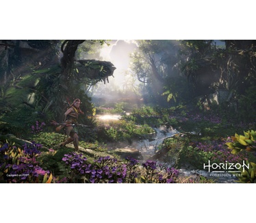 HORIZON FW SPECIAL PS4