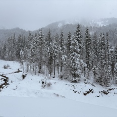 Afbeeldingslocatie: https://tweakers.net/i/Ah15dpdkmROlVkoWBMjrb21aT0A=/232x232/filters:strip_icc():strip_exif()/f/image/3bY3VjNUD2bXnwBzxLNCw6li.jpg?f=fotoalbum_tile