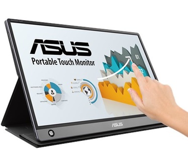 Asus MB16AMT