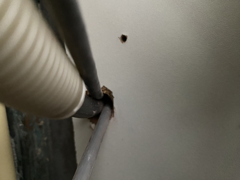 Afbeeldingslocatie: https://tweakers.net/i/Aj31DZSjS5s6wKymlZXKy6tPBTI=/800x/filters:strip_icc():strip_exif()/f/image/xTTloxE5OwnWOzmope0VbFCa.jpg?f=fotoalbum_large