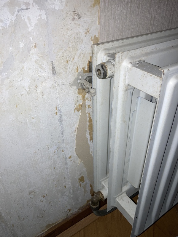 Afbeeldingslocatie: https://tweakers.net/i/Ak2BOG9XDPqUjq3Rr9XaiTD_E3o=/x800/filters:strip_icc():strip_exif()/f/image/iYw30IB0gaCQbnYvlTU75IC6.jpg?f=fotoalbum_large