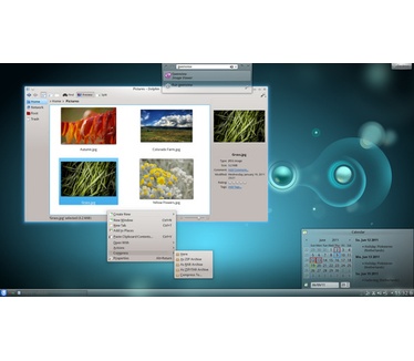 Plasma and Applications 4.7 (481 pix)