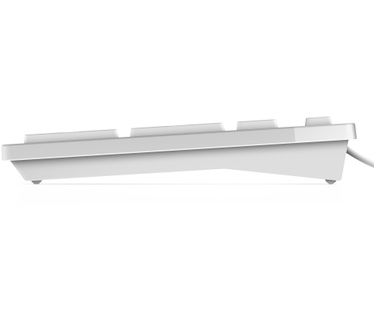 Dell KB216 (Qwertz DE) Wit