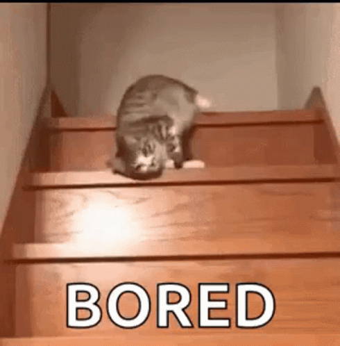 Afbeeldingslocatie: https://tweakers.net/i/AsRDs5ekYjHbJwZbGZo845JB85Y=/fit-in/4000x4000/filters:no_upscale():gifsicle():strip_exif()/f/image/arsIYBHJCeqWIDS1a602I4fl.gif?f=user_large