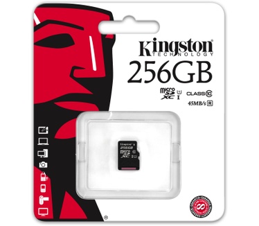 Kingston microSDXC Class 10 UHS-I Card 256GB