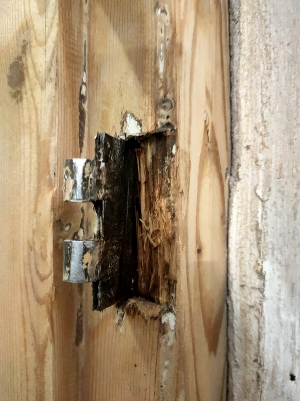 Afbeeldingslocatie: https://tweakers.net/i/AtRTDxUigkRW3jZ7YiqUBRtdG5U=/x800/filters:strip_icc():strip_exif()/f/image/bmTDocno0FRFYNhjMNeFG2zq.jpg?f=fotoalbum_large