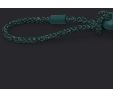 Jaybird Vista (Blauw)
