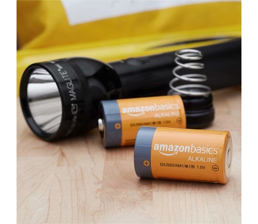 AmazonBasics LR20-24PK