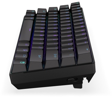 ENDORFY Thock Compact