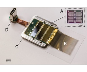 Neuralink rat test