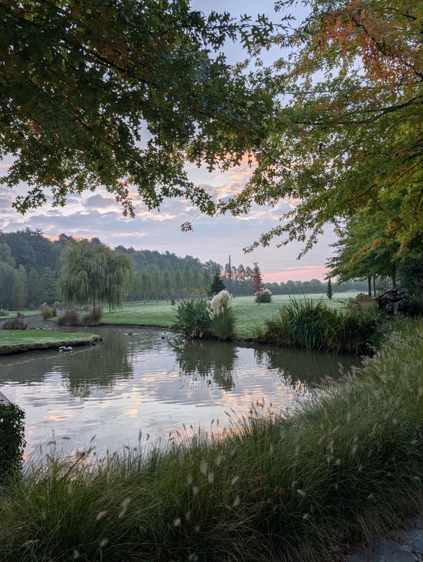 Afbeeldingslocatie: https://tweakers.net/i/AwLTK77nGbJ8OpR01d8bNIjDyyA=/x800/filters:strip_icc():strip_exif()/f/image/rcffhN9vHrxiPSd7sOgqiRlN.jpg?f=fotoalbum_large