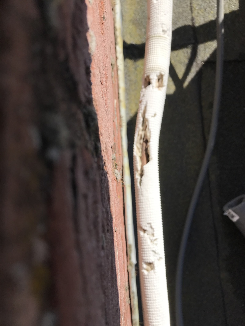 Afbeeldingslocatie: https://tweakers.net/i/AzS2M4koOU78m0c80wb3qB3NaiU=/800x/filters:strip_icc():strip_exif()/f/image/wPi0HViTECNTzk5z0ZZRwYwH.jpg?f=fotoalbum_large