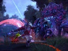 Tera