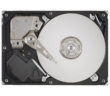 Seagate Barracuda 7200.12 ST3500410AS