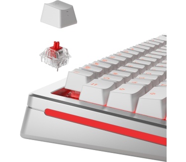 Glorious PC Gaming Race GLO-KB-ACC-SWT-FOX-LUBED-110