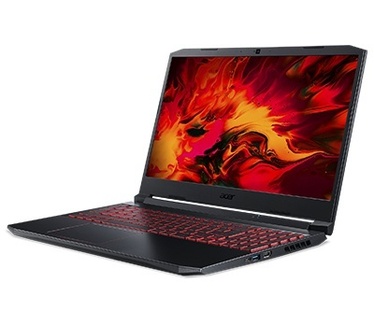 Acer Nitro 5 AN515-44-R4EC