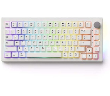 Akko 5075B Plus Air RGB Draadloos Hotswap Mac-Compatibel Mechanisch Gaming Toetsenbord