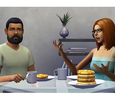 De Sims 4 Studentenleven, Windows