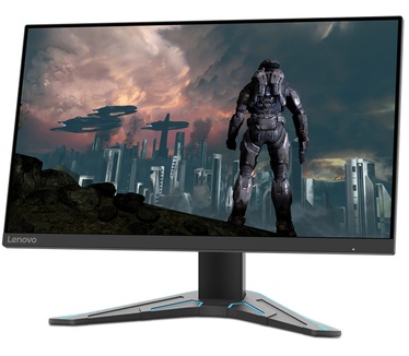 Lenovo G24-20 Zwart