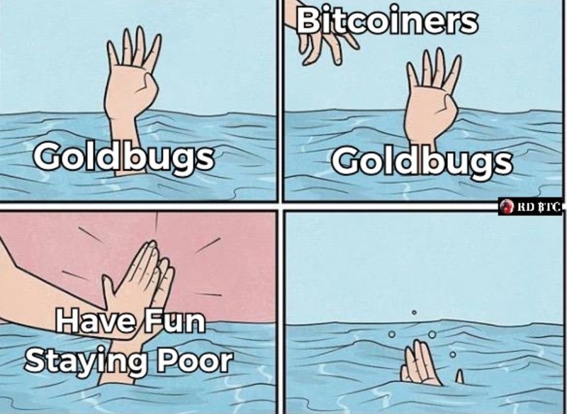 Afbeeldingslocatie: https://tweakers.net/i/B9HHi1iobk_B9terjRjisLaNMuI=/800x/filters:strip_icc():strip_exif()/f/image/wLWP0mnf15yn7c8DKdTzPt4U.jpg?f=fotoalbum_large