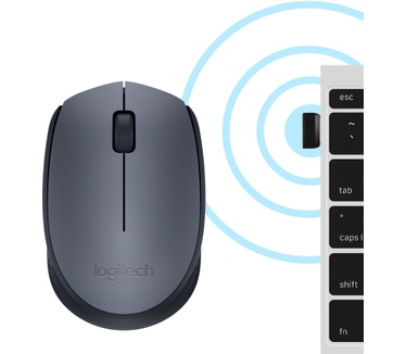 Logitech M170