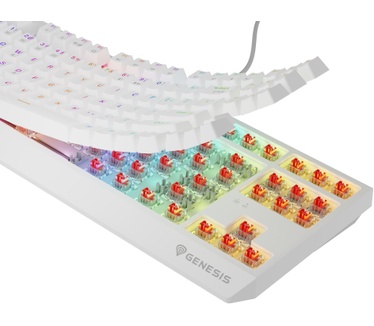 Genesis Thor 230 TKL