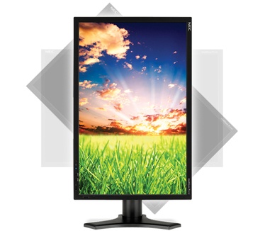 NEC MultiSync P221W Zwart