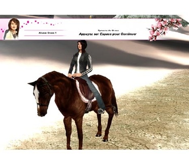 Horsez