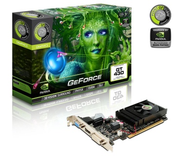 Point of View GeForce GT430 - 1204 MB