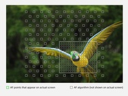 Sony Cyber-shot RX10 IV