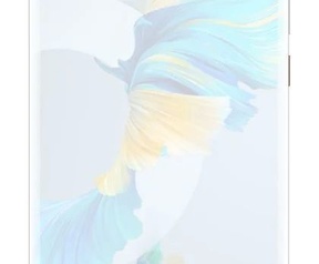Huawei Mate 40 Pro