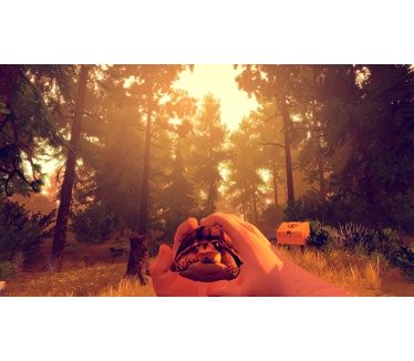 Firewatch, PC (Windows)