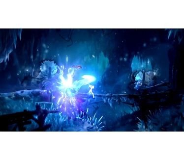 Ori and the Will of the Wisps, Switch