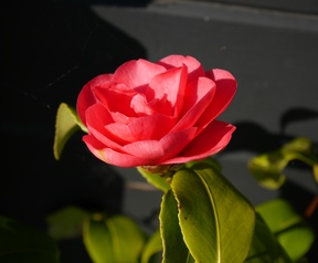 Panasonic GF7 testfoto's