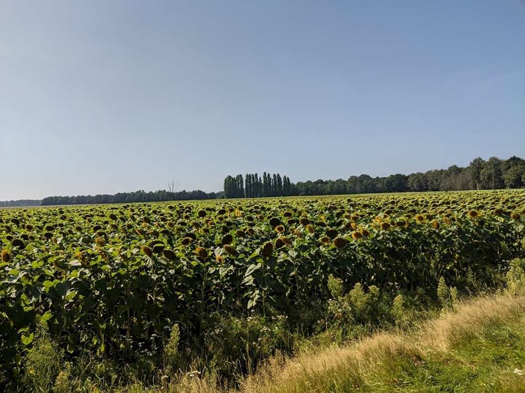 Afbeeldingslocatie: https://tweakers.net/i/BQKSteNTQ3Qhzat41X1_CvcKFrU=/full-fit-in/4920x3264/filters:max_bytes(3145728):no_upscale():strip_icc():fill(white):strip_exif()/f/image/vNcJTdWUcJChIQAWtGlzRKtU.jpg?f=user_large