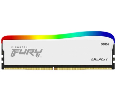 Kingston FURY Beast RGB Special Edition