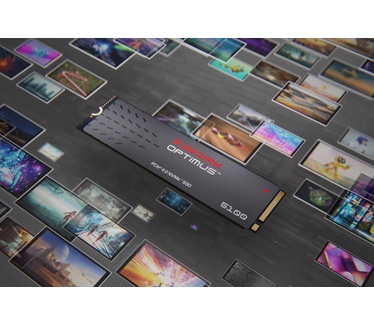 Sandisk Optimus 5100